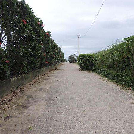 Lindo Apartamento 500M Da Praia Ingleses Norte Florianópolis Exterior foto